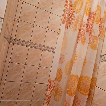 Goscinne U Lidki Homestay szállás